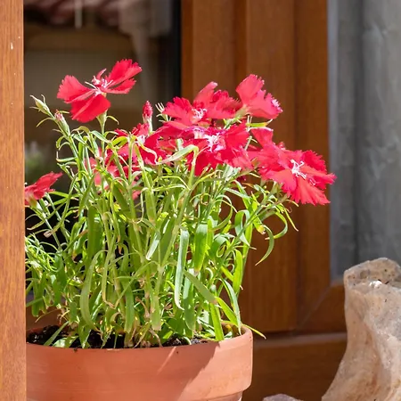 Rocca A Mare Maisonette I Apartment *